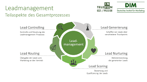 leadgenerierung online marketing