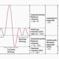lungenvolumen