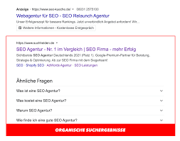 seo programmieren