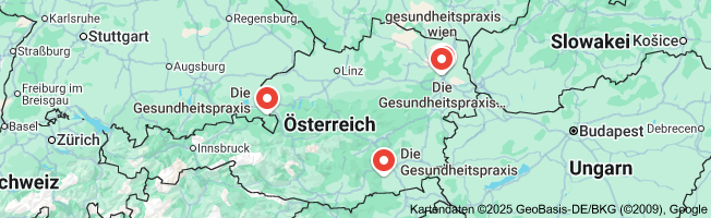 die gesundheitspraxis